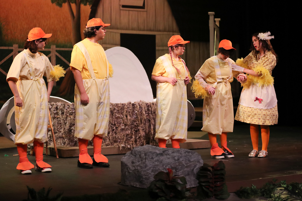 BHS production of HONK!