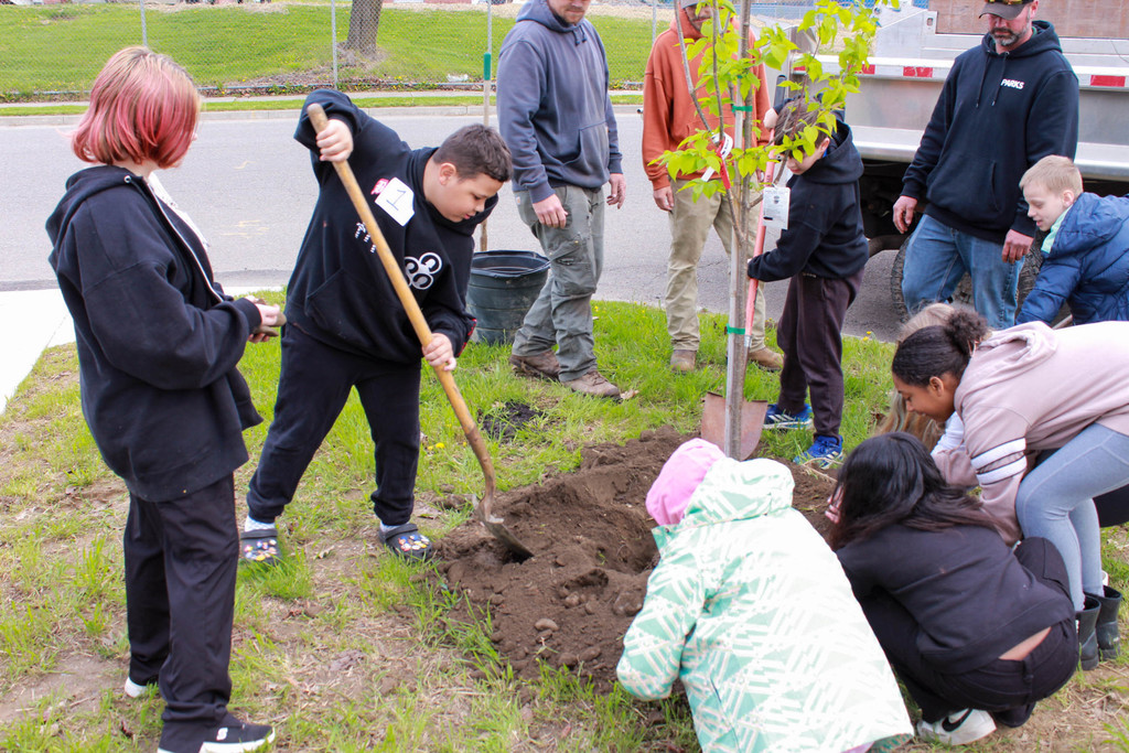 MacArthur students planting a tree at Webster Street Park